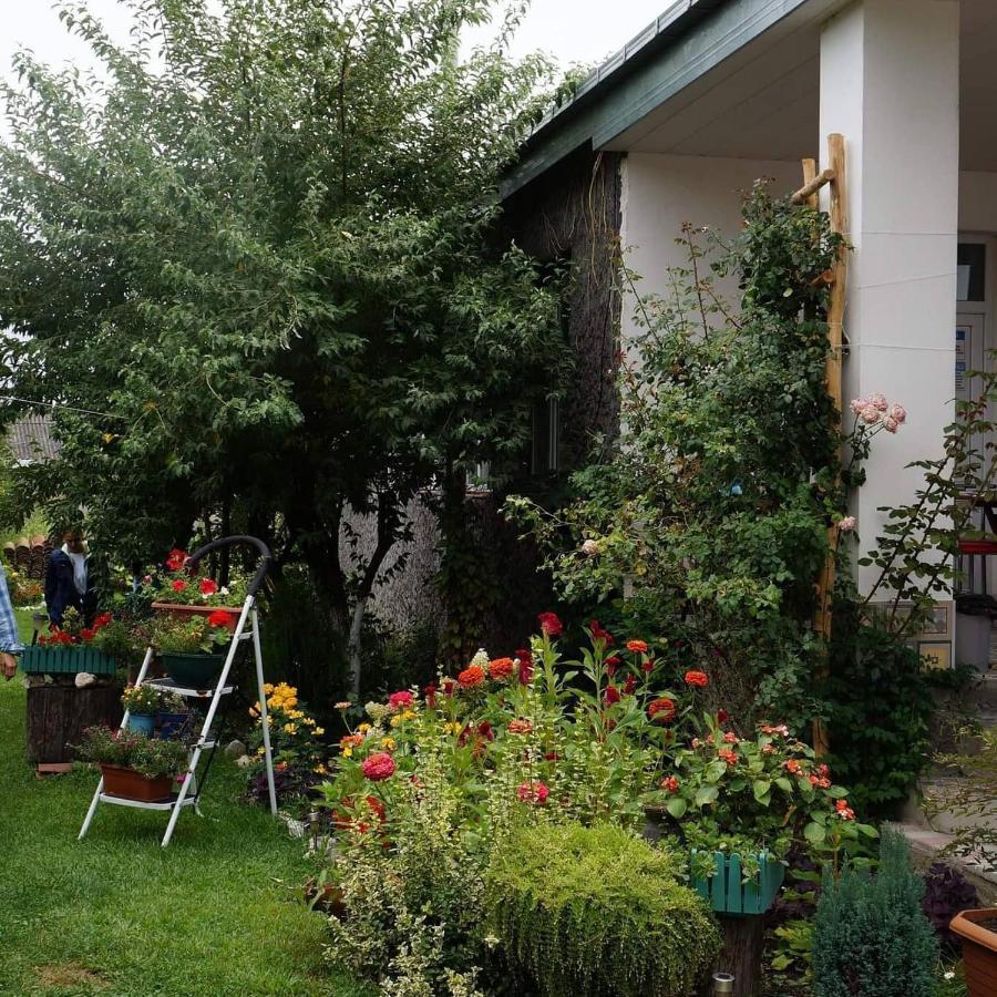 Leila'S Guest House Joqolo Zewnętrze zdjęcie